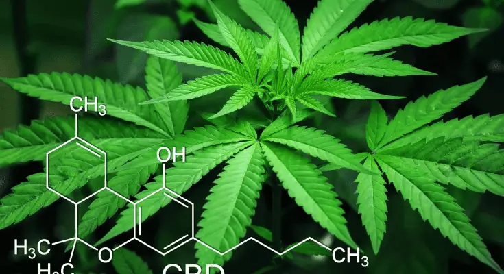 best cbd benefits