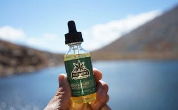 best way to start a cbd business