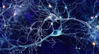 How Addiction Occurs in the Brain