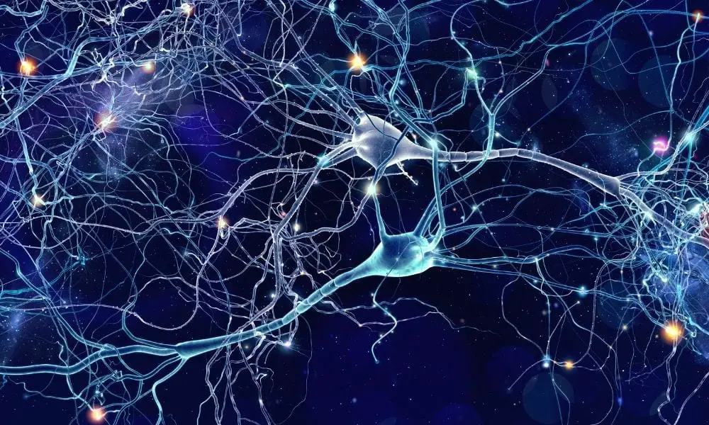 How Addiction Occurs in the Brain