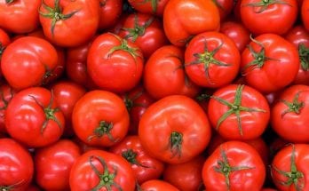 GMOs and How They Benefit Agriculture