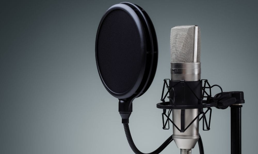 Sound Familiar? Celebrity Voice-Overs in Car Commercials