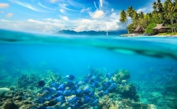 4 Important Things To Know About the Coral Reefs