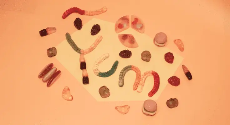 facts about cbd gummies