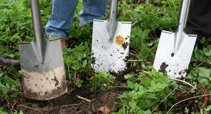 gardening to help your health