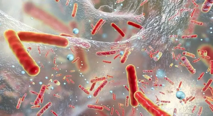 Where Does Biofilm Form in the Body?