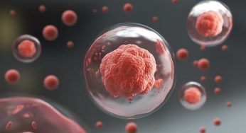 Umbilical Cord Blood Stem Cells’ Advantages