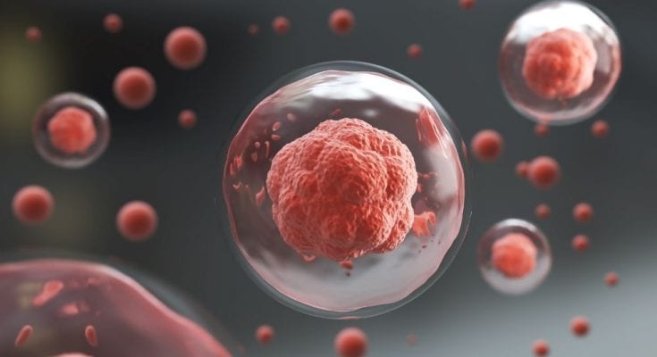 Umbilical Cord Blood Stem Cells’ Advantages