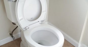 Here are the most common flushing problems!