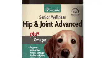 Vitamins for dog joints
