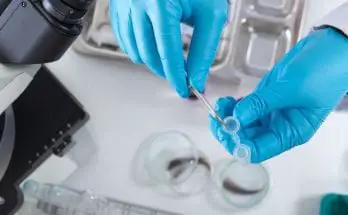 What Does a Hair Drug Test Detect?