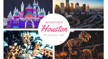 8 Fun Things To Do In Houston You Should Know