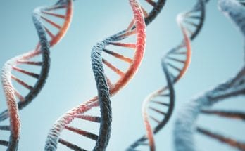 Weird But True Facts You Need To Know About DNA