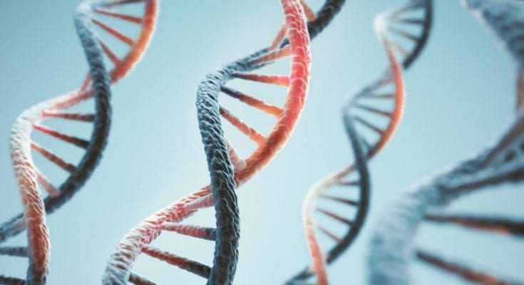 Weird But True Facts You Need To Know About DNA