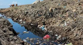 Top Environmental Problems in the United States