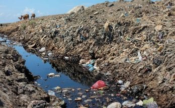 Top Environmental Problems in the United States