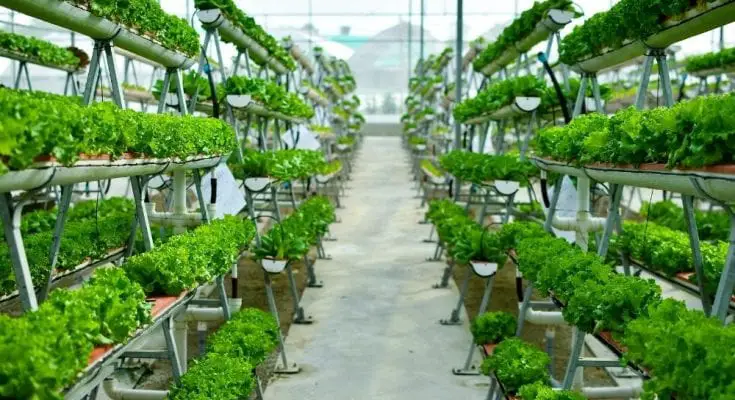 The Best Methods for Sustainable Farming