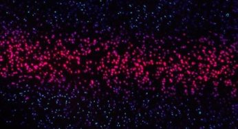 6 Facts To Know About Gene Synthesis