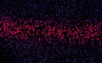 gene synthesis facts