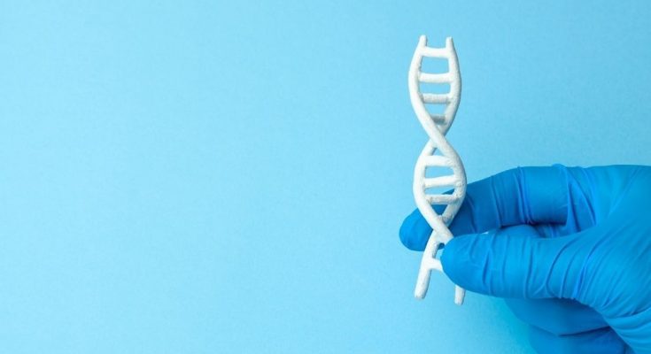 The Basics of How Genetics Influence Drug Addiction