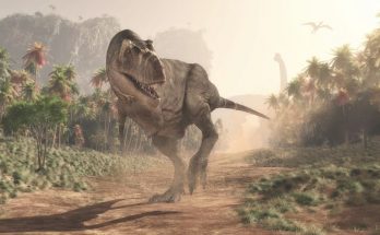 Dinosaur Skin: The Truth About Dinosaur Colors