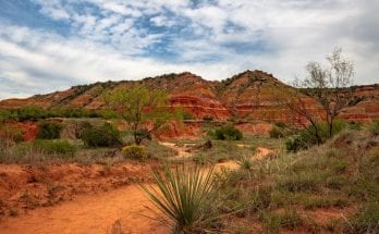 The Most Common Weather Hazards in Texas