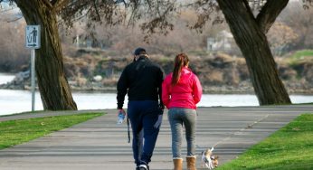 How Does A Pedometer Work?