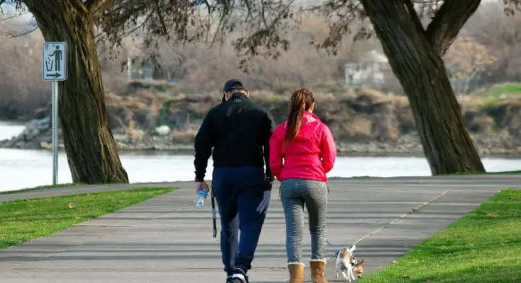 how does a pedometer work