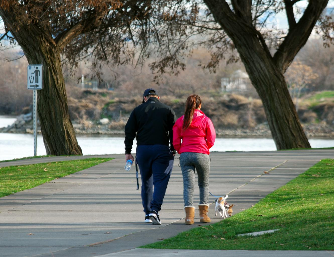 how does a pedometer work