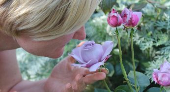 The History and Current Trends Surrounding ‘Signature Scents’