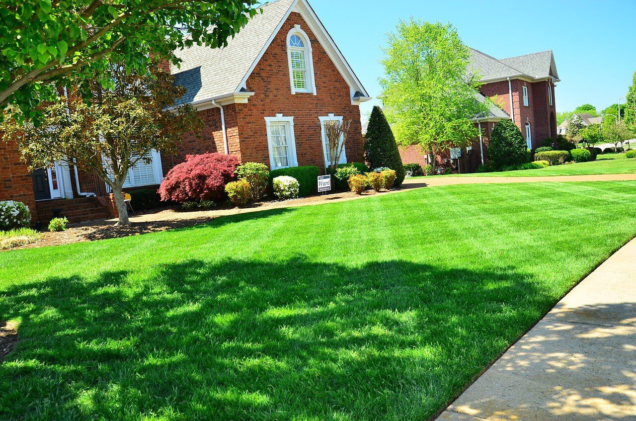 Lawn Care