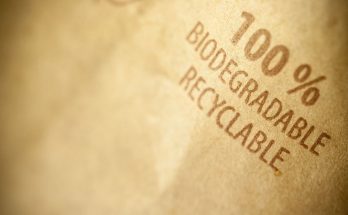The Role of Compostable Packaging on a Sustainable Future