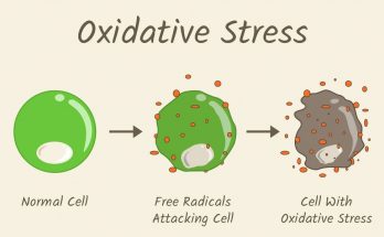 The Aging Process: What To Know About Oxidative Stress