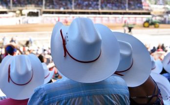 Yeehaw! Wild Fun Facts to Know About the American West