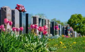 The Different Meanings of Common Gravestone Symbols