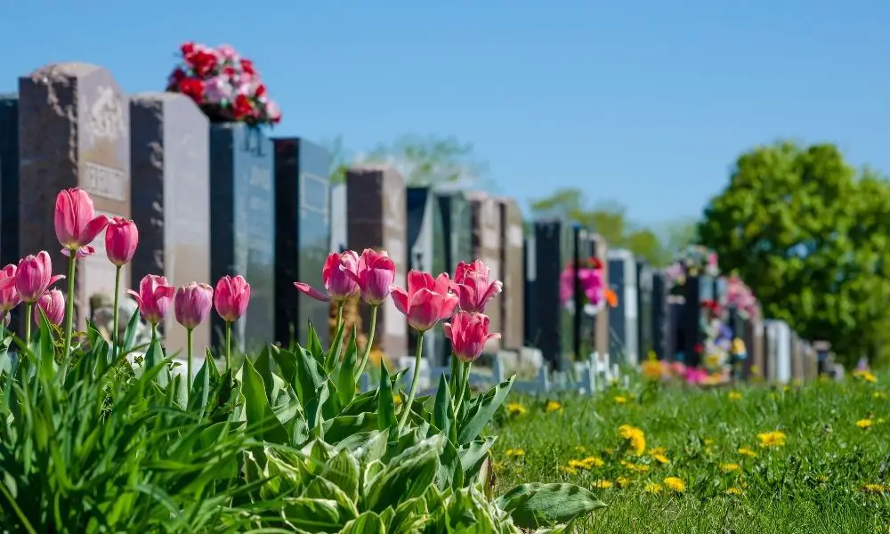 The Different Meanings of Common Gravestone Symbols