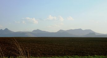Facts About Soil Solarization