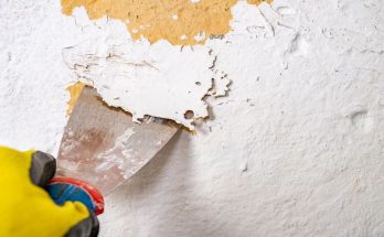 The Complicated History of Lead-Based Paint