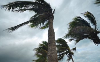 Different Kinds of Natural Disasters That Hit Florida