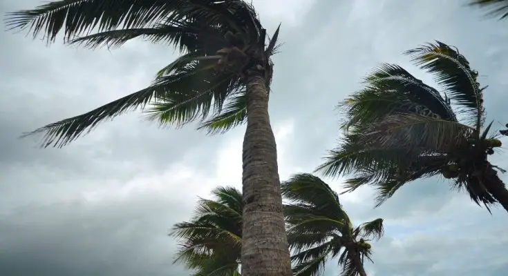 Different Kinds of Natural Disasters That Hit Florida