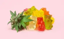 THC Gummies