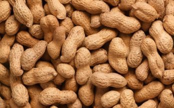 Fascinating Facts You Didn’t Know About Peanuts