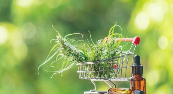 How is CBD Different From CBG?