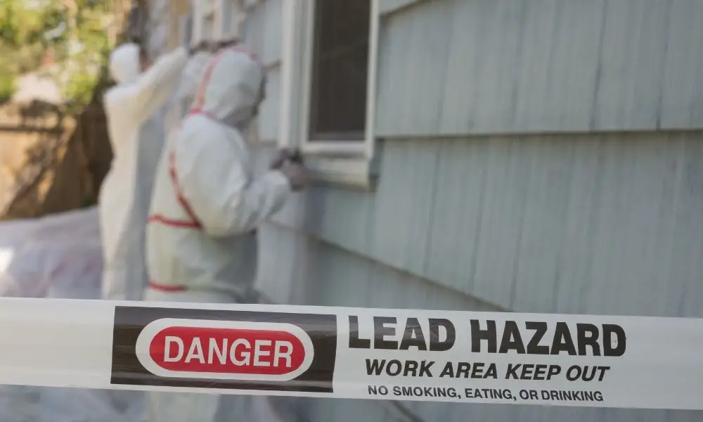 Common Health Issues with Lead Poisoning