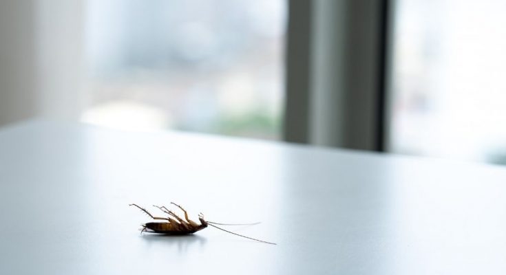 4 Interesting Ways To Keep Pests Out of Your Home