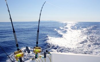 4 Best Offshore Fishing Tips for Beginners