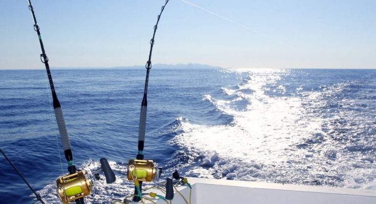 4 Best Offshore Fishing Tips for Beginners
