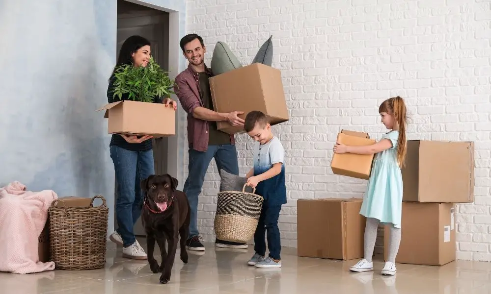 Tips To Make Moving More Comfortable for Your Family