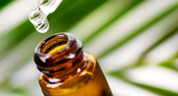 Interesting Facts You Didn’t Know About Essential Oils