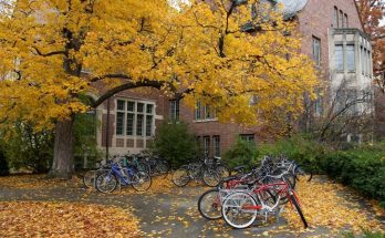 Interesting Facts About Ivy League Schools